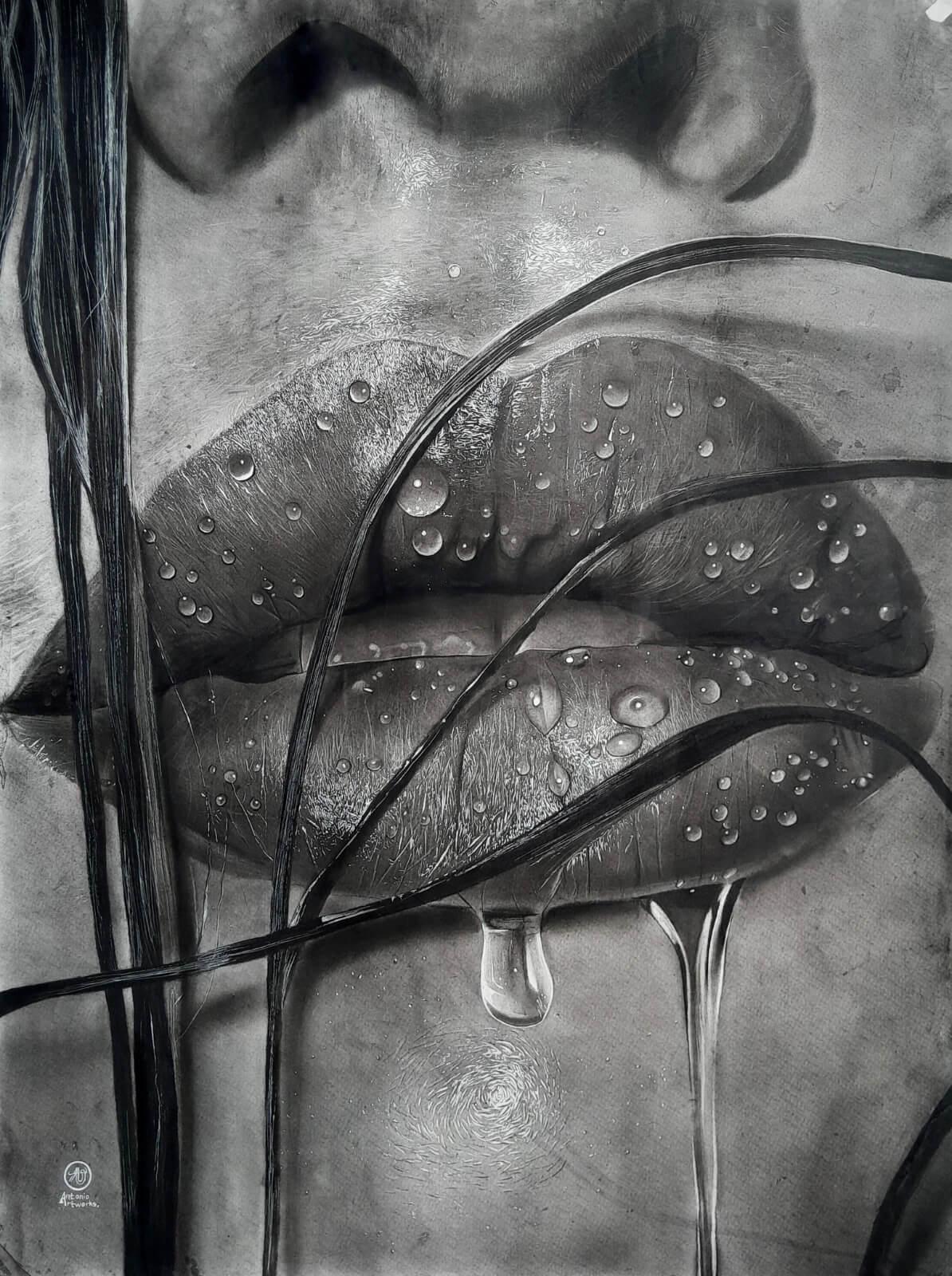 Limited Prints